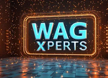 Leading Digital Marketing Agency in Dubai - WAG xPerts Solutions