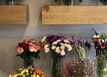 Life and Bloom
