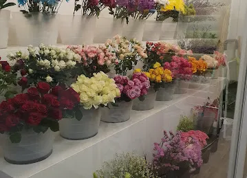 عالم الورد