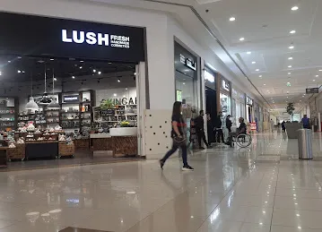الانماء