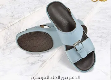 النورس | Nauras