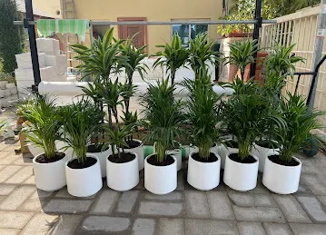 LOVE GARDENS LLC