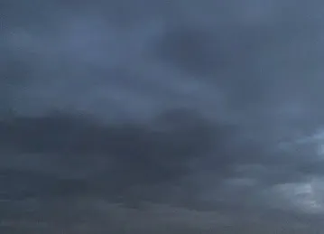 الزورا