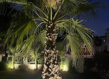 M&A landscaping in Dubai