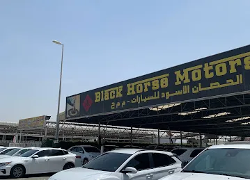 معرض الحصان الاسود للسيارات (48)