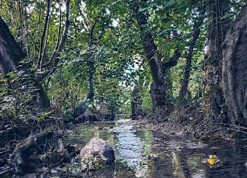 معرض السيف