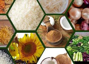 Maali and Manvi Foodstuff Trading LLC