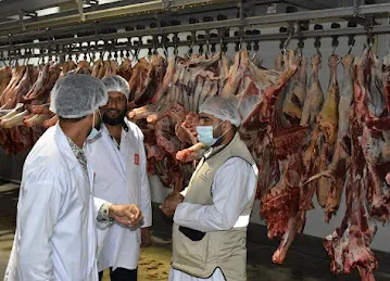 Macca Food Industries - UAE