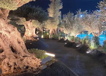MAG City