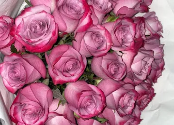 Maison des Fleurs