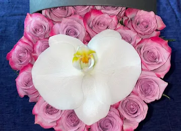 Maison des Fleurs