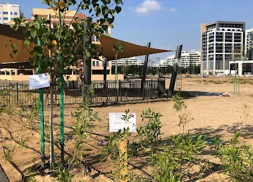 Majan Public Park