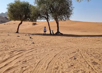 Maleha MTB and fat bike trails