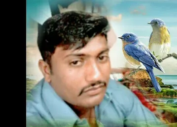 Malik ADEEB 649 GB