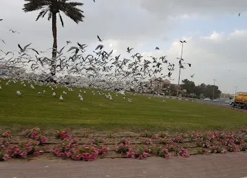Mamzar, Beach 8