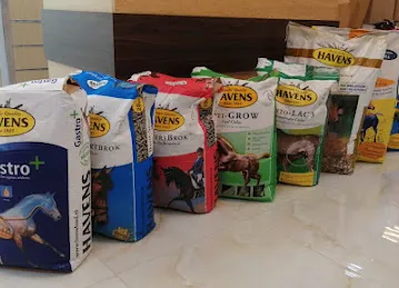 Mandara Equestrian Shop Rahba Al Shahama Abu Dhabi
