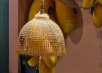 MANGO GARDEN