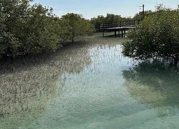 Mangrove Adventures - Jubail Mangrove Park