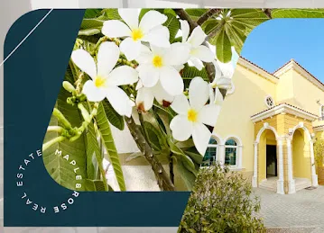 Maple and Rose Real Estate LLC