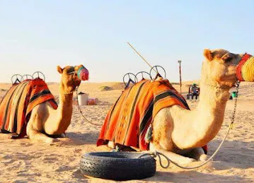 Marhaba global tourism