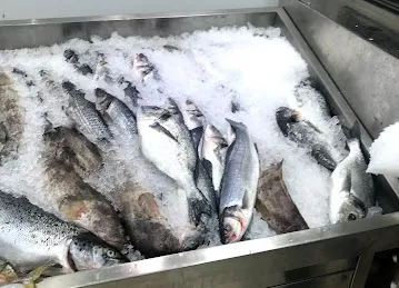 MARSA AL RAYYAN FRASH FISH