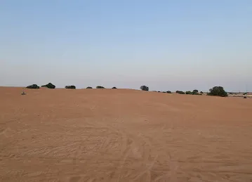 Maverick Adventures | Buggy Rental