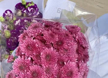 Max Flora Flowers Trading