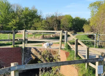 Mayoori Textiles