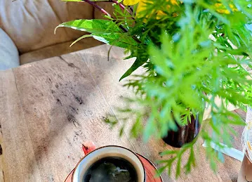 Mazaraa Café