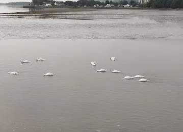 MBEACHA'S Residents
