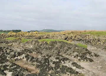 MBEACHA'S Residents