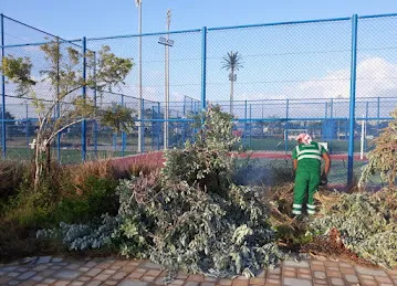 MBR Landscaping LLC