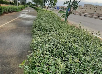 Mbz zone 7 cycling and walking track