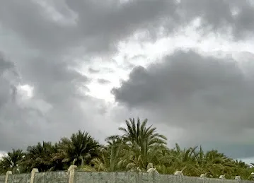 مدينة كلباء منطقة السور الغربية المزارع