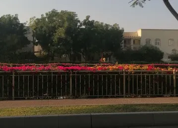 Meadows 9 street 14