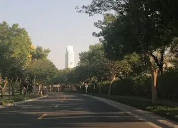 Meadows 9 street 14