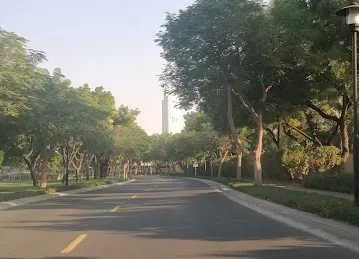 Meadows 9 street 14