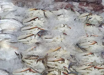 MEENO FISH TRADING