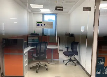 Mega consultancy and technology