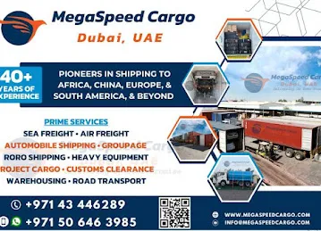 Mega Speed Cargo Services LLC (W/H)