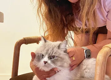 Meowtropolis Cat Cafe