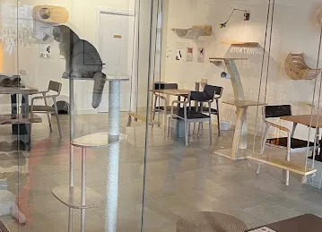 Meowtropolis Cat Cafe
