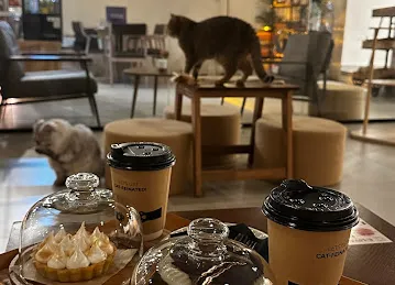 Meowtropolis Cat Cafe