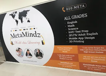 Metamindz
