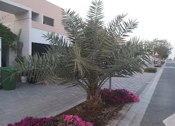 Meydan Heights