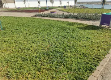 محمية النباتات الملحية