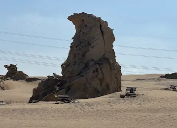 محمية الوثبة الاحفورية