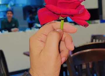محارة البحر كفيتيريا Seashell Cafeteria\u200e