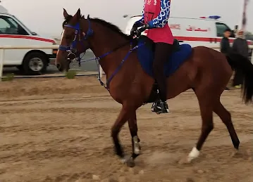 مهرجان سلطان بن زايد التراثي
