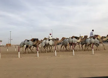 مهرجان سويحان التراثي
